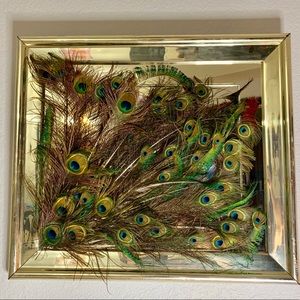 Cuadro con plumas de Pavo Real 🦚